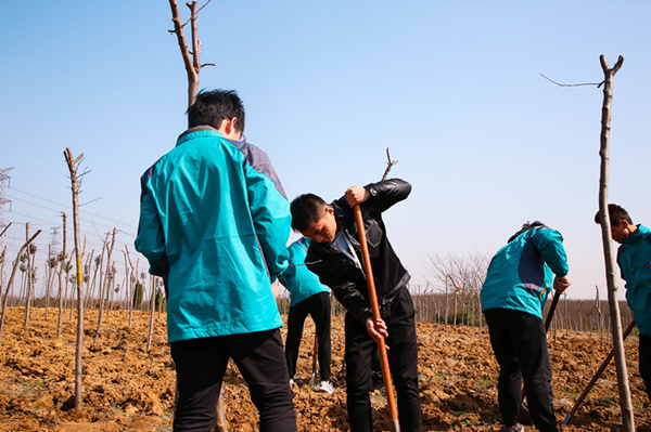 “攜手植樹，共創(chuàng)藍天”丨南京新華師生共筑新華育才林