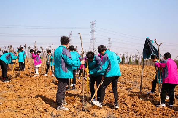 “攜手植樹，共創(chuàng)藍天”丨南京新華師生共筑新華育才林
