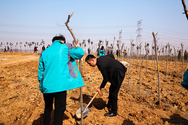 “攜手植樹，共創(chuàng)藍天”丨南京新華師生共筑新華育才林