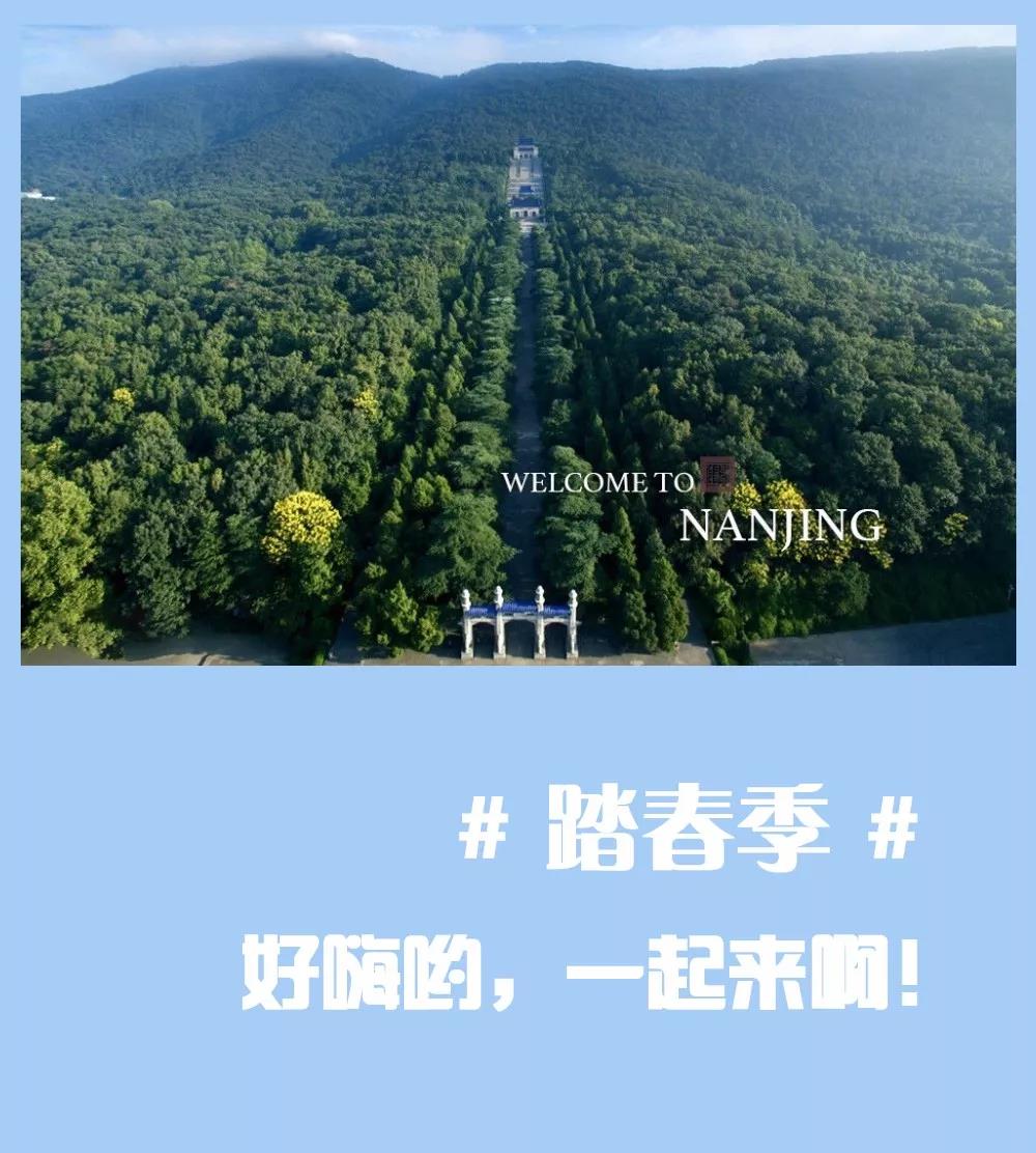 安排上了，南京新華邀你共赴免費體驗營