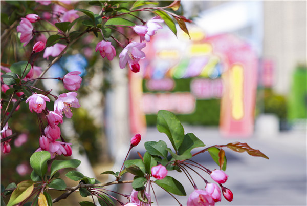 校園開放日初體驗(yàn)，帶你走進(jìn)南新，走進(jìn)互聯(lián)網(wǎng)