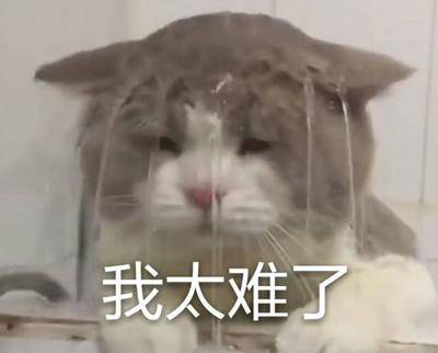 勁爆！新華電腦教育服務(wù)旗艦店正式入駐天貓，課程1折秒殺！