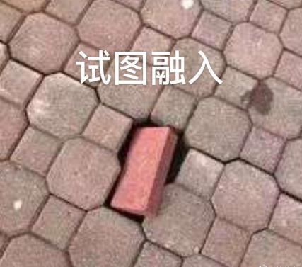 新華互聯(lián)網(wǎng)科技正式入駐Bilibili！會摩擦出什么樣火花呢？